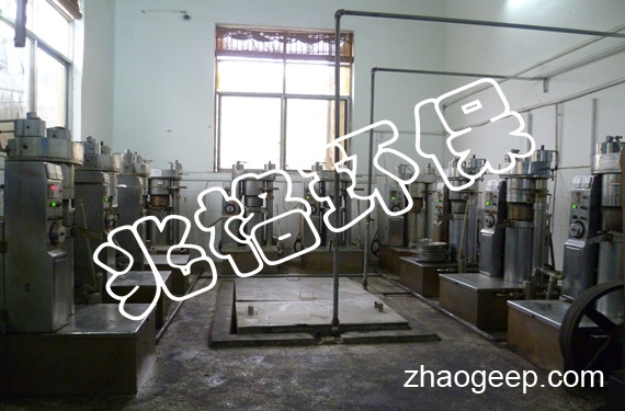 核桃榨油機(jī)
